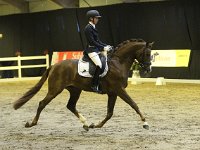 Eyecatcher 201113_1974